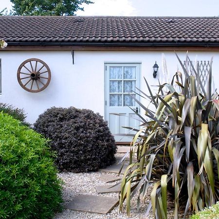 Ashton Cottages Cheddar Kültér fotó